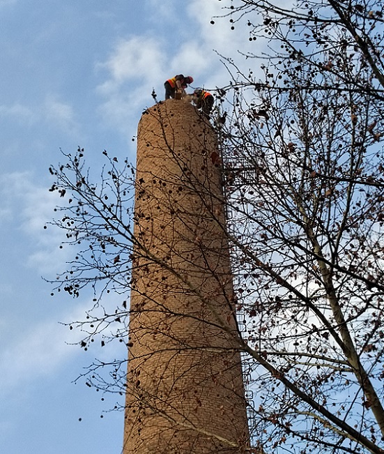 1693836283610305.jpg e36a8db8baccb464a86636698d106bb.jpg