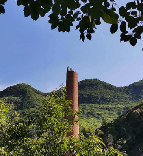 1690635367135036.jpg 0a564342ce1b21cbe074fa7f2d9c608.jpg