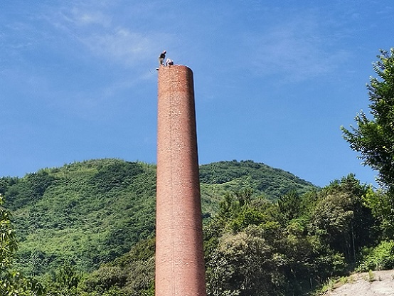 1690635401541359.jpg 2179f947d50b089e7df3f89bfcf3d4f.jpg