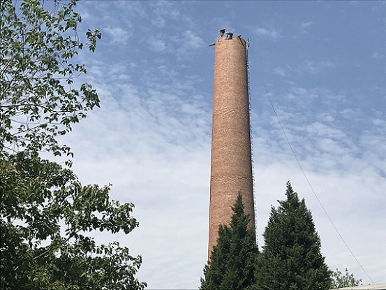 1690636413214986.jpg QQ图片20210522200713.jpg