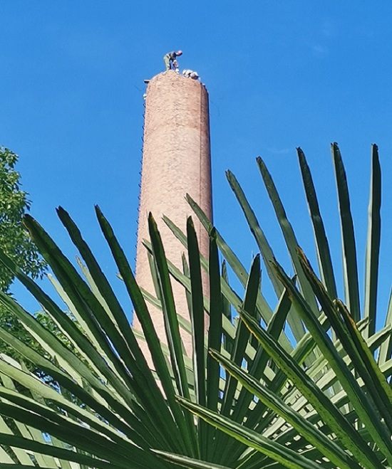 1690636427559335.jpg 3afd1244f82fd2324ccc405c8f4a7df.jpg