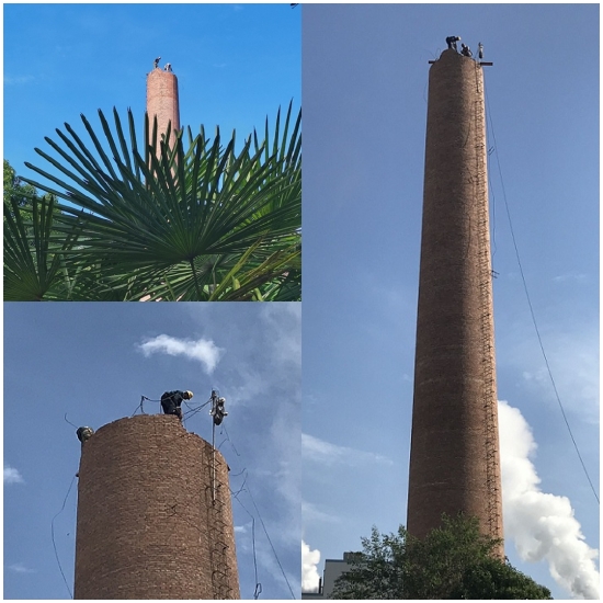 1705895564715135.jpg 081.jpg